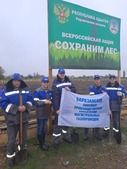 Работники Березанского ЛПУМГ приняли участие в акции «Сохраним лес»