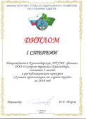 Диплом победителя конкурса «Лучшая организация по охране труда» в Республике Адыгея