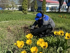 Cубботник в Кущевском ЛПУМГ